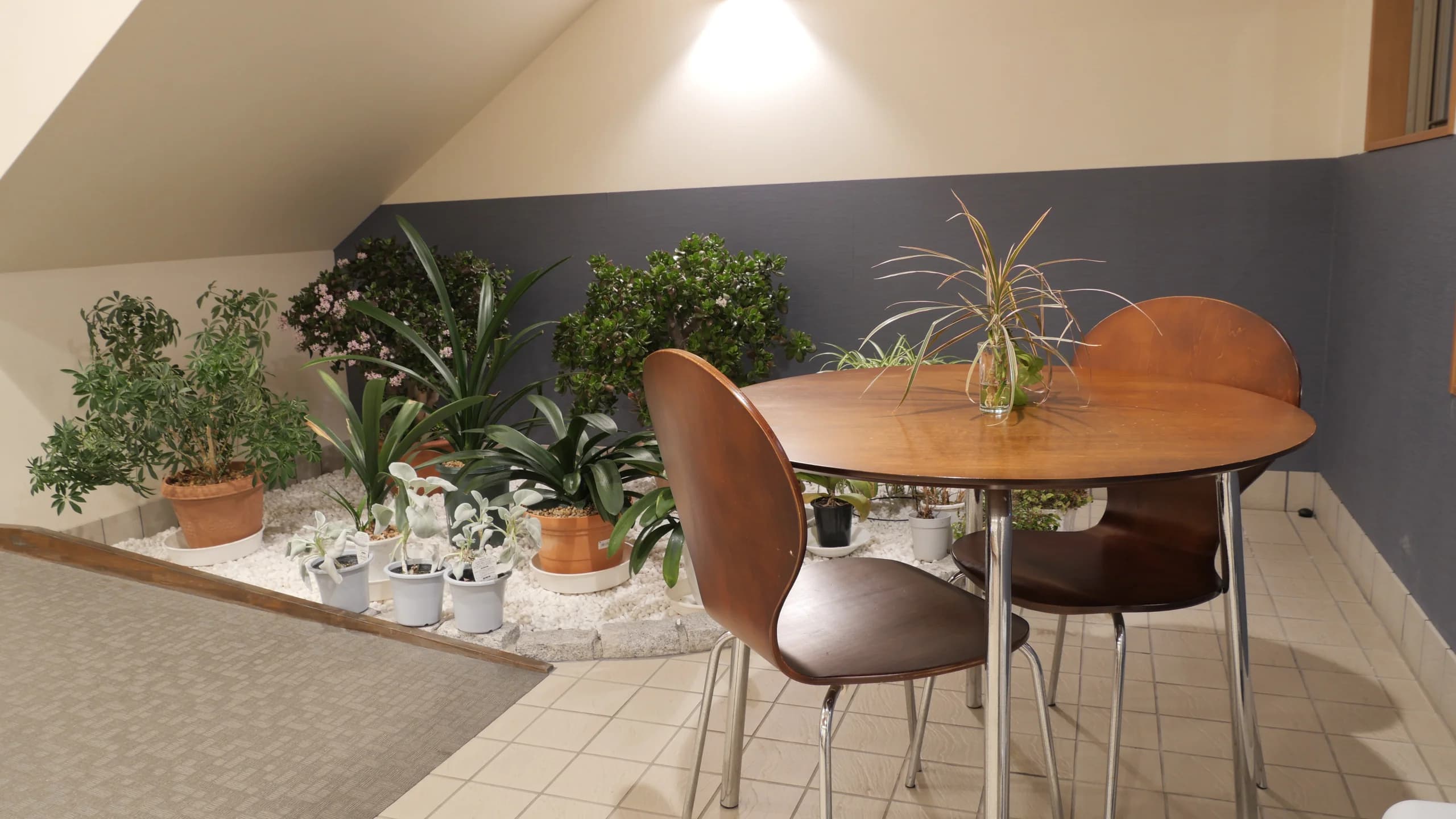 トップイメージ08